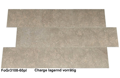 Fliesen aus Marmor, Fossil Green, 60x40, poliert