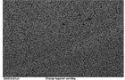 Fliesen aus Granit, Padang dunkel, G 654, poliert, 60x30